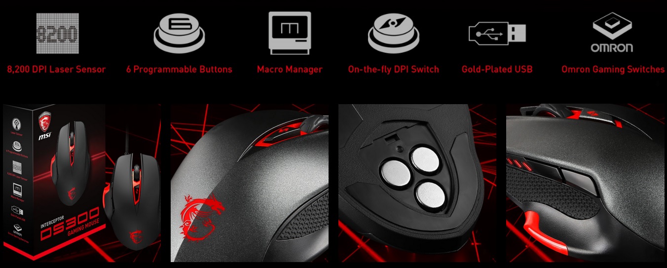 MSI Interceptor DS300